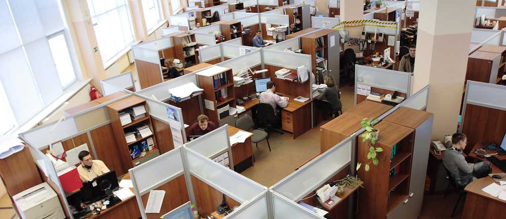 People working in their cubicles in an office